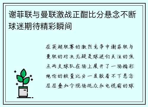 谢菲联与曼联激战正酣比分悬念不断球迷期待精彩瞬间
