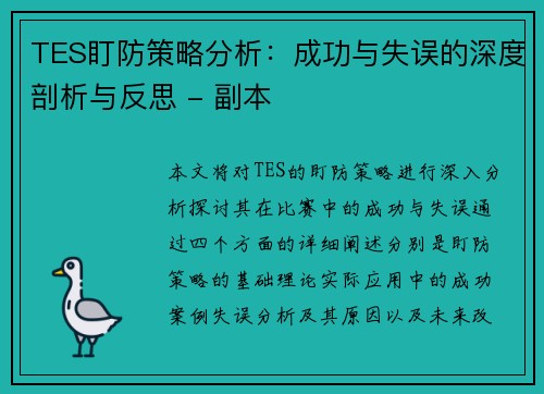 TES盯防策略分析：成功与失误的深度剖析与反思 - 副本